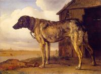 Paulus Potter - Hound